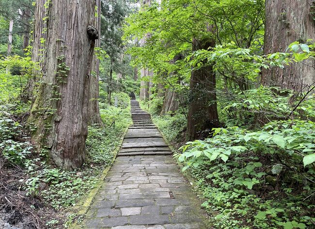 何年か前に、元同僚が羽黒山詣での体験を大いに語りました。<br /> 五重塔を前にして五体が震えたという話はやや大袈裟とも思いましたが、羽黒山に行かずして死んだらこの世に生まれてきた意味がないとまで言われ、んだばおらもいがねば、と焦りにも似た思いをしたのは確かです。<br /> とはいえ、山形は遠いし、伝わってくるのは石段登りの難儀な話ばかり。 ついつい日が経ち月が経ち、気づけば畳のへりにもつまづくほど体力が衰えてしまいました。<br /> ぐずらもずらやってっど、いげねぐなっど。 我が身と心にムチを打ち、最初で最後の羽黒山詣でに出かけたのですが・・・。
