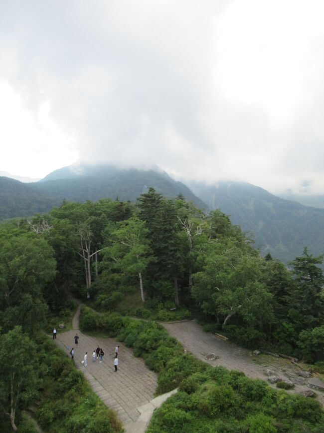 大人だけの家族で道東を3泊4日でドライブしてきました。<br />前回は函館・札幌・富良野・小樽・余市に行ったので(旅行記にはしていません）、<br />今回は思い切って長距離ドライブ！<br />ほぼ移動の旅になりましたが、自然と豊かな大地を堪能した4日間でした。<br />アイヌの方々の文化に興味があるので日程に組み込みました。<br />一日にどれくらい移動できるの？など、どなたかの参考になれば幸いです。<br />・１日目：お昼前に北海道到着、白樺並木、帯広泊<br />・２日目：紫竹ガーデン、釧路湿原、阿寒アイヌコタン、屈斜路湖泊<br />・３日目：美幌峠、黒岳ロープウェイ、旭川泊<br />・４日目：川村カ子トアイヌ記念館、男山酒造資料館、モエレ沼公園、帰宅<br />★この旅行記は3日目の「美幌峠」から