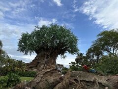 【WDW旅行記】アニマルキングダム編！攻略必須のアバターエリアとここでしか会えないサファリミッキー＆ミニー