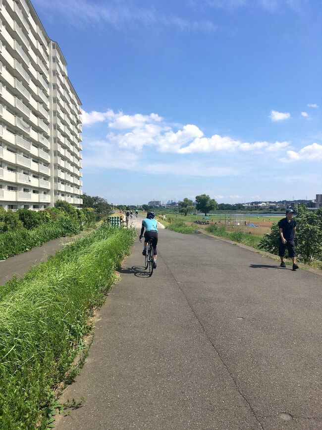 多摩川沿いサイクリングの5回目に行ってきました。<br /><br />前回同様レンタル自転車で、世田谷・大田の多摩川沿いを走行。<br />多摩川右岸の登戸で自転車を調達し、橋を越えて左岸の狛江へ。<br />東京側を走った後、右岸に渡り武蔵小杉で自転車を返却しました。<br /><br />武蔵小杉に行く前に、大田区で「桜坂」に寄ってきました。<br />福山雅治の「桜坂」の歌詞に出ている場所です。<br />コースからは外れるけど、今回はここが一番の見どころでした。<br />