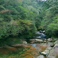 歩けるうちに！屋久島！(3日目、４日目)