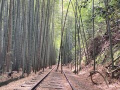 廃線跡