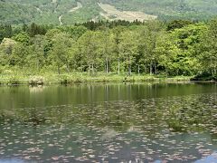 お気に入りの赤倉観光ホテルと岩の湯に泊まる、6泊7日滞在記