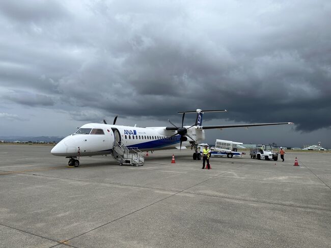 2023.09<br /><br />久しぶりに、飛行機乗りたーい！<br /><br />候補地は札幌、福岡、沖縄<br />時間をやりくりすれば、なんとか二泊できるプランニングが成り立つ所<br /><br />夏休みは終わったのに、AIR、ホテルとも激高！<br />そのなかから、行き先は福岡に決定<br />とりあえず飛行機は、ANAマイル、UAマイルで確保しよ！<br />でもホテルもバカ高いやん・・<br />どこかへ行きたい人たち、たくさんおるから強気なんやね(;&#39;∀&#39;)<br /><br />こんなページが目に入る<br />「新たな福岡の避密の旅」観光キャンペーン STAYNAVI（宿泊施設直接割引）クーポン発行再開について<br />予算枠追加に伴い、2023年9月1日10:00より割引クーポンの発行を再開いたします。←ホテルはこれで確保！<br /><br />【AIR】<br />［往路］ローカル→福岡<br />ANA特典R＠7500マイル<br />［復路］福岡→羽田→ローカル<br />UA特典@6000マイル<br /><br />【ホテル】<br />《プリンススマートイン博多》<br />2022.10開業<br />STAYNAVI利用のため、公式サイト予約<br />プラン名【会員限定】【全国旅行支援対象プラン】朝食無料サービス<br />2泊・22756円<br />割引▲4551円<br />支払18205円<br />地域クーポン▲8000円<br />実質支払10205円<br /><br />直前当日まで、部屋の広さ、大浴場付き、ブランド等で色々悩んだけど、新しくてリーズナブル、ココに決定!