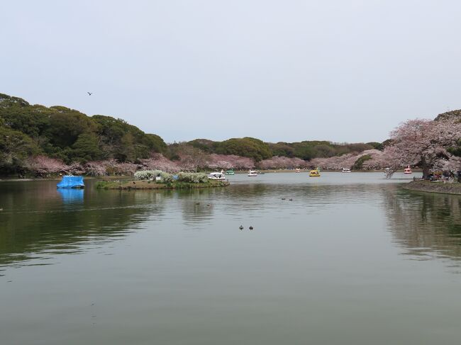 兵庫 明石公園 剛の池から西側(Gono-ike pond,Akashi Park,Hyogo,Japan)