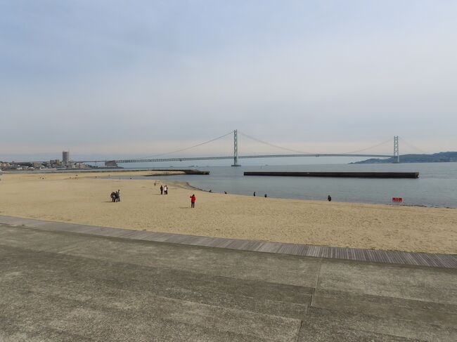 2022年4月2日(土)2時過ぎ、1年前にも娘一家と来た大蔵海岸公園に到着。<br />https://4travel.jp/travelogue/11737111<br /><br />一番西の北側の入り口にあたるところに、1989年に明石子午線クラブが結成25周年と市制70周年を記念して建てた東経135度子午線モニュメントがある。球体に日本地図と子午線が記された、まさに子午線の町をイメージさせるもので、「刻」の字が刻まれている。土台部のパンジーがきれい。1年前にはもう少し東側から入ったので、通ってない。<br /><br />そこから奥(南)に進むとトンボの子午線標柱。実はこれはレプリカで、本家は明石市立天文科学館の裏手、月照寺の山門前に建っている。そちらは1930年(昭和5年)に建てられたものだが、こちらは1984年に建てられた。元々は市役所玄関前に置かれたが、市役所前の駐車場建設に伴い1990年に現在の位置に移動された。<br /><br />高さは約7mで、上部に子午線を象った地球が載り、その上に日本の古名「秋津島」を象徴したトンボが停まっている。レプリカはトンボが簡略化されており、地球の中の赤いランプもない。<br /><br />そこから明石海峡大橋を見ながら海岸沿いを東に進むと西休憩所。そしてその先が磯浜。大小の自然石や玉砂利を敷並べた約3万5千平方mある人工の干潟、磯場で、水生生物の自然観察などが楽しめるようになっている。1年前に来た時には磯浜の西側から市役所側(西側))に歩いたので、磯浜から東へ向かうのは初めて。<br /><br />磯浜の周りには西休憩所の他、北側に中央休憩所、東側に東休憩所があるが、いずれもヨットの帆をイメージした斬新なデザイン。東休憩所の前には「アモーレ(ハート印)明石」と書かれた赤いハートマーク。<br /><br />2016年に明石の観光PRキャッチコピーに因んで明石観光協会のボランティア組織「明石観光PR隊」が描いたもの。このキャッチコピーは、初代明石ふるさと大使だった明石市出身の女優平愛梨さんを夫君であるサッカーの長友佑都選手が「アモーレ」と呼んだことに由来している。<br /><br />磯浜の東側の海岸線は大蔵海岸ベランダ護岸として整備されており、ウォーキングや自転車、釣りなどを楽しむことが出来る。<br /><br />明石市の北東部、大蔵谷辺りから流れ出した短い川、朝霧川に架かる大蔵なぎさ橋を渡ると大蔵海岸海水浴場がある。幅約60m、長さ約600mで約3万6千平方mある広々とした砂浜で、海水浴、水遊びなどが楽しめる。東端にはビーチサッカーやビーチバレーなどができるビーチコートもある。<br /><br />海岸線を回り込んでいくと2階や屋上階から明石海峡大橋を眺めながらバーベキューを楽しめる大蔵海岸BBQ ZAZAZAがある。屋上階の「CAFE&amp;BAR」ではバーベキューなしでドリンクやスナックを橋を見ながら楽しめるそうだ。<br /><br />さらに東に進むとモルツマーメイドII号。1999年に堀江謙一さんが太平洋横断をした双胴型ヨットで、業務用ステンレス製ビール樽528個から船体は造られている。また、セイルもペットボトルをリサイクルして造られ、生活用の電力は風力発電と太陽光発電でまかなわれた。<br /><br />堀江謙一さんは1938年生まれ、大阪出身の海洋冒険家。1962年に日本人による初めての単独無寄港太平洋横断に成功した。1999年の横断は3月28日にサンフランシスコ(San Francisco)を出航し、7月8日にここ大蔵海岸に到着した。その後、明石市市制80周年記念として明石市に寄贈された。<br /><br />歩道橋に登ってモルツマーメイドII号を望むと、バックに明石海峡大橋が美しいが、ヨットの先の左手に少女像と鮮やかな色で彩られた球のモニュメントがある。共に2005年に設置されたもの。<br /><br />少女像は「愛しい娘(こ)」と云い、2001年の年末にこの海岸の砂浜の陥没に巻き込まれて5歳で亡くなった金月美帆ちゃんの事故を教訓として海岸の安全を誓う碑(いしぶみ)として設置された。<br /><br />球のモニュメントは「いれぶんはーと」と名付けられ、それより5ヶ月前の明石市民夏まつり花火大会で発生したこの歩道橋の雑踏事故を忘れないように、そして再発しないことを誓って建てられたもの。鮮やかな色で彩られた球により、事故によって犠牲となられた11人の尊い魂を表現している。国際的な洋画家の元永定正・中辻悦子ご夫妻の作品。<br /><br />その事故の起きた朝霧歩道橋を渡って朝霧駅へ進む。朝霧歩道橋は1998年に供用開始された大蔵海岸へのメインアクセスとしてその翌年に完成した歩道橋で、2001年に大事故を起こした。歩道橋の途中には事故の翌年7月に設置された想の像がある。犠牲者のご遺族らが設置したものだが、現在は明石市に寄贈されている。<br /><br />朝霧駅はJR神戸線の駅で、1968年に山陽本線の新駅として開業した。当初の駅名は西舞子だったが、明石市が市内の駅名に神戸市の地名を使うことに難色を示し現駅名となった。島式ホーム1面2線を持つ地上駅で、山側に新快速、特急、貨物列車が走る急行線の複線が、海側に山電の複線が走るがホームはない。駅舎は北側のみ。<br />https://www.facebook.com/media/set/?set=a.23974022772241088&amp;type=1&amp;l=223fe1adec<br /><br /><br />ノエスタに向かうが、続く