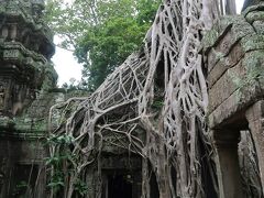 アンコールワット 雨季でも てくてく遺跡巡りツアーは 最高だった！