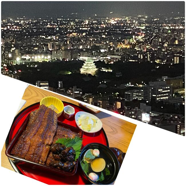 名古屋勤務も残り半年となったので、名古屋グルメ探訪の紹介です。<br /><br />グルメと言いつつも、まずは高層階からの絶景が楽しめるマリオットアソシアホテルの52階スカイラウンジ ジーニスでフレンチディナーと名古屋市街の夜景を堪能しました。窓際の席で名古屋城もバッチリ見えました。<br /><br />次は老舗のうな富士 白壁別邸です。<br />古き良き日本家屋の風情と絶品のうなぎ料理を味あわせていただきました。<br />心もお腹も満たされて大満足でした。
