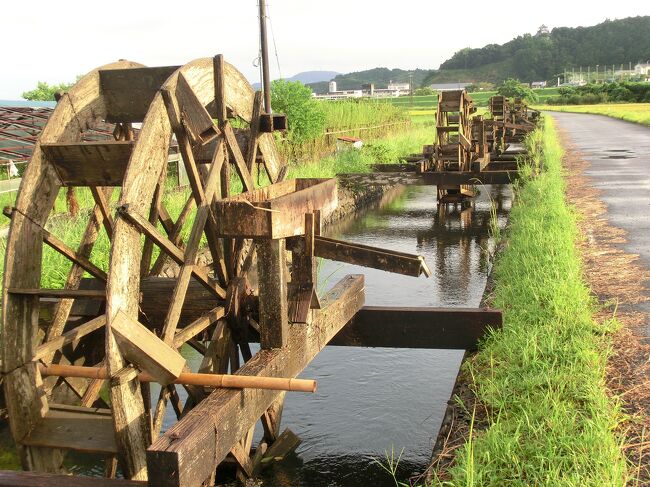 今回の旅行は、フェリーで徳島港に入り、マイカーで高知県中土佐町から、足摺岬がある土佐清水市まで南下し、その後、愛媛県宇和島市まで北上した後、東進して梼原町を観光して戻るルートです。道中、四国88か所の37番札所「岩本寺」から、40番札所「観自在寺」までの４か所で御朱印をいただきました。足摺岬方面は、初めて訪れる場所だったので、とても楽しく回ることができました。２泊３日の旅行の１日目です。