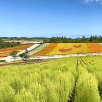 まだまだ暑い北海道へ行って来たよぉ～(´∀｀*) 今年も四季彩の丘は素敵がいっぱい☆。.・＊ランチは富良野チーズのピッツァ♪　３日目 美瑛編