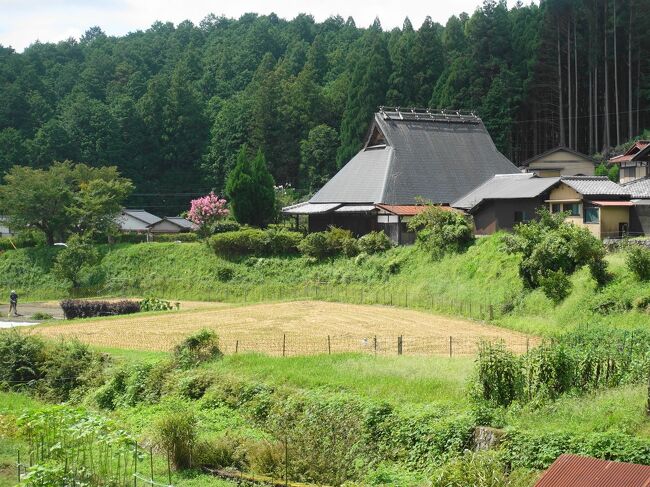 2023年9月。9月になっても酷暑が続く京都。少しでも涼しいところへと、大原へ。サルスベリや秋海棠が満開の三千院、来迎院、寂光院と回りました。鯖街道らしく、鯖寿司も。<br /><br />・三条京阪からバスで大原へ<br />・三千院への道。秋海棠、青もみじ<br />・三千院境内<br /> 客殿から宸殿、有清園から往生極楽院(国宝の阿弥陀三尊像)<br /> 弁天池と苔、わらべ地蔵<br /> 金色不動堂、阿弥陀石仏、おさな地蔵<br />・来迎院<br />・寂光院<br />・やましょうで鯖寿司<br /><br />表紙写真は、大原のどこかなつかしい風景。