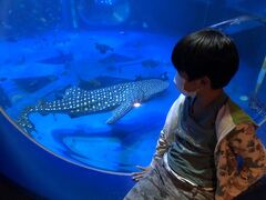 ＧＷに行く福井・能登3泊4日旅行　～4日目　のとじま水族館～