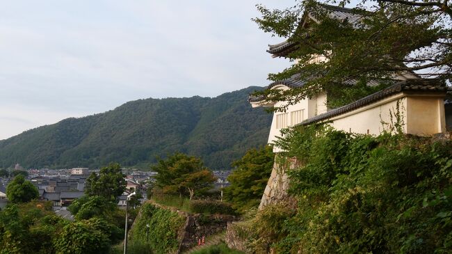 この連休はどこの観光地もにぎわっているのか、なかなかホテルが取れませんでした。<br />兵庫県の小京都・出石のホテルが取れたので、今回は兵庫県の山陰海岸に出かけました。<br />地球の不思議さを感じる玄武洞、但馬の小京都、仙谷氏の城下町・出石とまわってきました。<br /><br />https://www.youtube.com/watch?v=mTde8PoIW7w