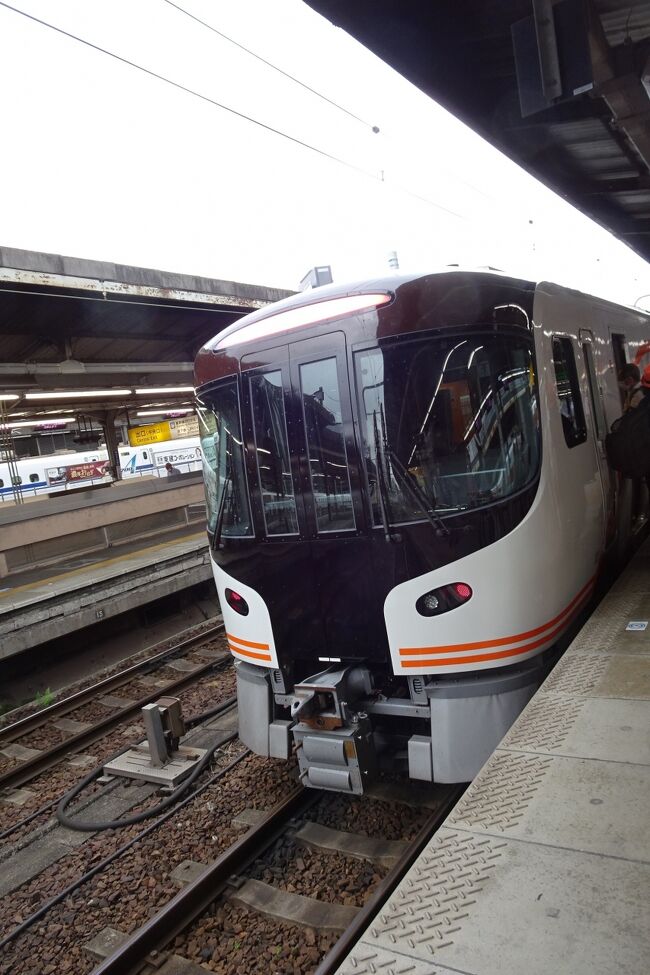 名古屋→特急ひだ3号８時43分発→富山駅12時32分着→電鉄富山駅→立山駅→ケーブルカー→美女平→立山高原バス→阿陀ヶ原16時頃到着到着→散策→弥陀ヶ原ホテル、宿泊