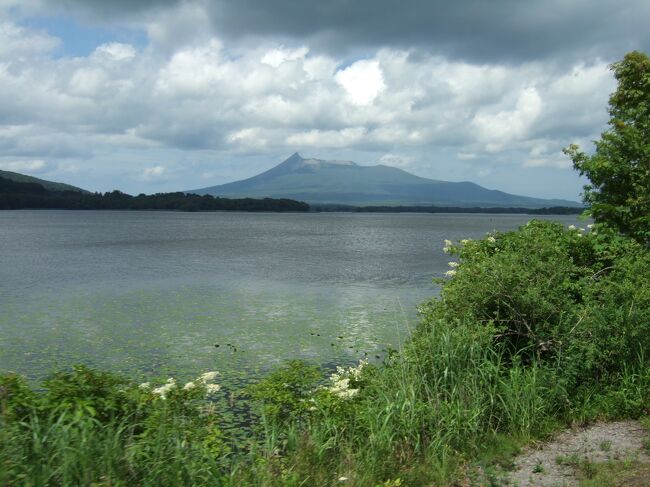 最近、毎年恒例になっている夏の函館と大沼に行ってきました。<br />行きは札幌８時４３分発の北斗６号に乗車。珍しく８両編成での運転です。普通車指定席を予約していましたが、混んでいる感じだったので自由席へ移動。自由席は一番混んだ区間でも７割方座席が埋まる程度で、快適に乗れました。<br />新函館北斗で下車して普通列車に乗り換えますが、新幹線に乗り換える方が多く、狭いホームはものすごい混雑でした。乗換時間に駅を散策しますが、駅２階にあった観光案内所が１階へ移転したり、キヨスクが閉店したりと、北海道新幹線の終着駅とは思えない寂しさです。<br />普通列車に乗り換えて１駅、七飯で下車して駅前のＢＡＳＳＯで昼食。喫茶店っぽい雰囲気の店内はやや狭いですが、美味しい蕎麦がいただけました。七飯からは函館ライナーで五稜郭へ移動。３両編成でかなり混んでいました。<br />イベントがあったようで函館駅前のホテルは軒並み高かったので、五稜郭駅から函館駅方向へ少し歩いたシャロームインに宿泊しましたが、周囲にコンビニがないのが少々不便でした。<br />函館駅前のハセガワストアでやきとり弁当をテイクアウトしますが、１８時４５分のラストオーダー前にご飯が切れたようで、最後の１食にありつけました。<br />２日目は市電で市内を巡りながら、ＪＲインに宿泊。館内には鉄道だけでなく青函連絡船の貴重な品々も展示され、鉄道ファン、連絡船ファンにはたまらないホテルです。<br />３日目は桔梗から七飯に移動しながら、新函館北斗駅前のラジェントプラザに宿泊。駅前の便利な場所にありますが、函館市内よりも格段に安く、夜景や朝市の観光を重視しないのであればおススメです。<br />最終日は大沼公園に普通列車で移動して、大沼を散策。最大の目的の「沼の家」の大沼だんごも購入できましたが、とにかく暑かったです。<br />帰りも北斗の指定席を取っていましたが、自由席に移動し、空いている車内で快適に札幌まで乗車できました。<br /><br />