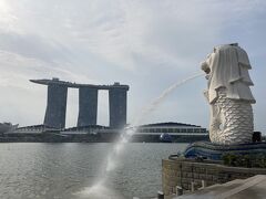 ☆2023.8 パリ旅行-Day1･2-☆トランジットでシンガポールへ☆