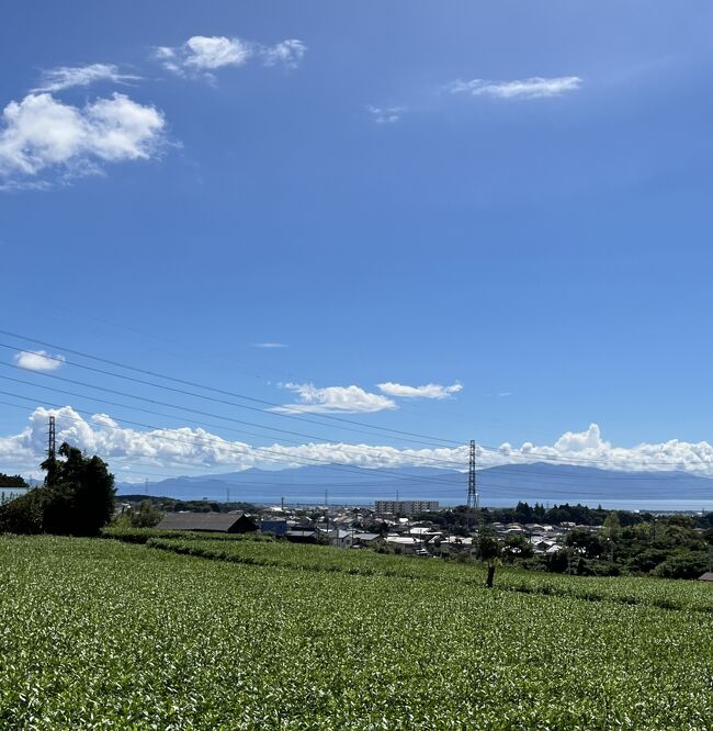 月に一度の実家訪問時に食べたもの。今回も富士山は見えずに残念。夏はなかなか見えません。