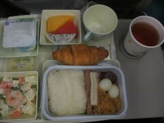 ホイアンの罠 16/16（ ダナン-帰国 ）