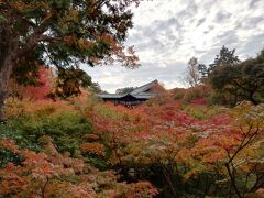 秋の東福寺・嵐山