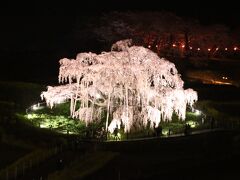 【桜を求めて】週末パスで行く春の茨城・福島県１泊2日の旅