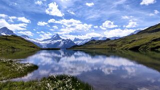 2023年夏スイス旅行6　ハイキングの最後でマーモットに会う