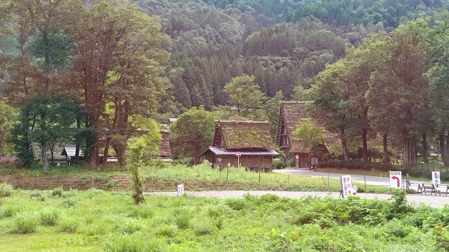 クルーズ5日目、今日は金沢に8:00に入港。私達が選んだのは、白川郷に行くツアー、食事は含まれておらず自分たちで自由に選ぶコース（これが最大の選択ミスなのでした）、昨日の秋田田沢湖ツアー同様バスに揺られて、なるたけ主人の疲労を溜めないようにと選んだツアーだったのですが…<br />　バスで白川郷まで直行→白川郷を自由散策→金沢駅鼓門→「金沢駅あんと」でお土産買い物→ベリッシマ戻り、という行程。予想外の猛暑のなかの白川郷散策でした。<br />　船に戻った後、プールサイドでゲーム、ショータイムを楽しんだ後に夕食、最期に「クルータレントショー」を楽しみました。