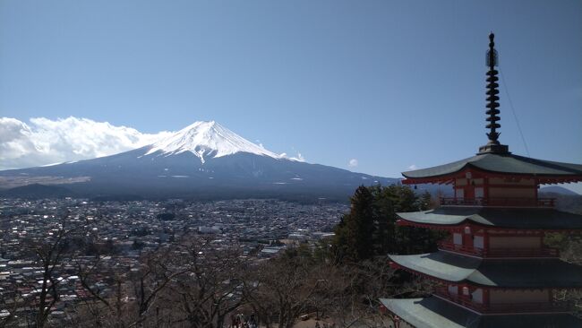 4日目のお宿は鐘山苑。<br />お部屋からも富士山が綺麗にみえ、お食事もとても美味で<br />この富士山を愛でる宿の中では　もちろん1番気に入ったお宿になりました。<br />最終日は　お天気もよく、新倉富士浅間神社に行って　五重塔と富士山、日本を代表する景色を見ることができました。<br />