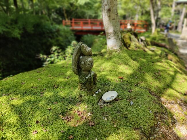 不良夫婦 京都 宝ヶ池にて② 三千院･寂光院･鹿苑寺金閣