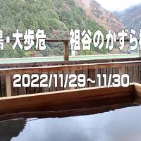 2022.11 徳島県　大歩危　祖谷のかずら橋