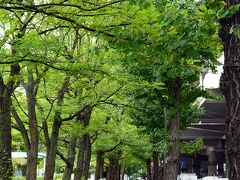 甲州街道を歩く（新宿～高井戸）