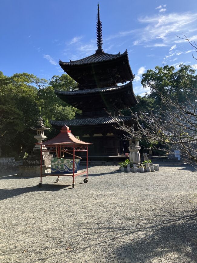 道後温泉近くの石手寺三重塔へ行ってきました。<br />三重塔重要文化財全国に43あります。今回で41訪れました。<br />2023.09.21<br />羽田空港---神戸空港---神戸三宮---徳島<br />2023.09.22<br />徳島---阿波川島---切幡寺多宝塔---高松---松山道後温泉<br />2023.09.23<br />松山道後温泉---石手寺三重塔---八幡浜---松山道後温泉<br />2023.09.24<br />松山道後温泉---松山城---岡山---津山---津山城<br />2023.09.25<br />津山---東京