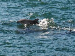 9月　天草・鹿児島の旅　①天草