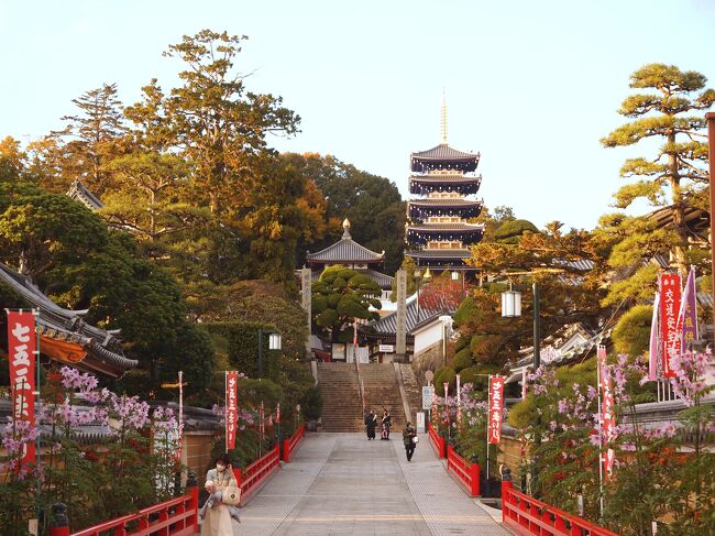 今回の西国巡礼の旅、最後は中山寺です。<br />参拝には遅い時間なので、参拝者も少なく、ちょっと寂しさも感じる参拝。<br /><br />勝尾寺から全く土地勘のない場所なので、ナビ任せのドライブ。<br /><br />中山寺近くの駐車場では、入口の反対側の道に入って、住宅街をぐるりと回ったり、帰り伊丹空港に向かう道も、ナビの通りだと大渋滞なので、地図を見ただけの勘を頼りに、有料道路を下りて、ちょこちょこ走って、予定していたスタンドにたどり着きました。<br /><br />ナビの無い時代は車に分厚い地図を乗せて走って、最終的には日本地図を思い浮かべて走るという芸当をしてました。「海（太平洋・笑）はあっち側だよね」<br /><br />その感覚が衰えてないことが、ちょっと嬉しい。<br /><br />時間通りにレンタカーを返却して、無事帰宅しました。<br /><br /><br />