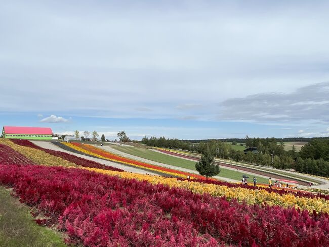 十勝岳登山と富良野･美瑛観光～北海道6泊7日後編～