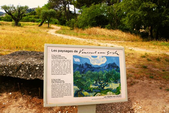 「Saint-Rémy-de-Provence （サン=レミ=ド=プロヴァンス）」は<br />たくさんの見どころがあります。<br />古代遺跡に画家のゴッホが療養していたサン＝ポール＝ド＝モーゾール修道院。<br />1999年7月人類滅亡の予言で有名なノストラダムは、「サン=レミ=ド=プロヴァンス」で誕生しました。生家が残っています。<br />「サン=レミ=ド=プロヴァンス」の旧市街は、<br />センスの良いおしゃれなショップが多く町並みも可愛くて、<br />散策やショッピングがとても楽しい町でした。<br /><br />この旅行記※7月18日(火)　サン＝レミ＝ド＝プロヴァンス観光<br /><br />　日程<br />7月04日(火)　ポートランド　→　シカゴ経由　→　（機内泊）<br />7月05日(水)　ミュンヘン経由　→　ニース泊<br />7月06日(木)　ニース　→　ヴィルフランシュ＝シュル＝メール　→　ニース泊<br />7月07日(金)　ニース泊<br />7月08日(土)　ニース　→　カーニュ＝シュル＝メール　→　アンティーブ　→　マンドリュー・ラ・ナブール泊<br />7月09日(日)　マンドリュー・ラ・ナブール　→　サン＝トロペ　→　ラマチュエル　→　ガッサン　→　ボルム＝レ＝ミモザ泊<br />7月10日(月)　ボルム＝レ＝ミモザ　→　イエール　→　ル・カステレ　→　ラ・キャディエール＝ダズール　→　ラ・シオタ泊<br />7月11日(火)　ラ・シオタ　→　カシス　→　マルセイユ泊<br />7月12日(水)　マルセイユ　→　エクス・アン・プロヴァンス泊<br />7月13日(木)　エクス・アン・プロヴァンス　→　アンスウィ　→　ルールマラン　→　ボニユー　→　ラコスト　→　メネルブ　→　アプト泊<br />7月14日(金)　アプト　→　セーニョン　→　ラベンダー畑巡り　→　ヴァロンソル 　→　ムスティエ＝サント＝マリー泊<br />7月15日(土)　ムスティエ＝サント＝マリー　→　モンブリュン= レ=バン　→　ソー　→　ヴナスク　→　カルパントラ泊<br />7月16日(日)　カルパントラ　→　リル＝シュル＝ラ＝ソルギュ　→　フォンテーヌ＝ド＝ボークリューズ　→　セナンク修道院　→　ゴルド　→　ルシヨン　→　カバイヨン近郊泊<br />7月17日(月)　カバイヨン　→　ヴィルヌーヴ=レ=アヴィニョン 　→　アヴィニョン　→　アヴィニョン近郊泊<br />7月18日(火)　サン＝レミ＝ド＝プロヴァンス　→　レ・ボー＝ド＝プロヴァンス　→　アルル泊<br />7月19日(水)　アルル　→　シルヴェレアル泊<br />7月20日(木)　オルニトロジック・デュ・ポン・ド・ゴー公園　→　サント＝マリー＝ド＝ラ＝メール　→　エグ＝モルト　→　ニーム泊<br />7月21日(金)　ニーム　→　ユゼス　→　ポン・デュ・ガール　→　シャトーヌフ＝デュ＝パプ　→　オランジュ泊<br />7月22日(土)　オランジュ　→　セギュレ　→　ヴェゾン＝ラ＝ロメーヌ →　グリニャン　→　ラ・ガルド＝アデマール →　ミルマンド　→ バランス近郊泊<br />7月23日(日)　サン＝タントワーヌ＝ラベイ　→　グルノーブル　→　ラ・グラーヴ　→　ヴィラール＝ダレーヌ泊　<br />7月24日(月） トリノ泊<br />7月25日(火） トリノ泊<br />7月26日(水)　トリノ　→　エントレヴェス泊<br />7月27日(木)　エントレヴェス　→　アオスタ泊<br />7月28日(金)　アオスタ　→　ブレウイル＝チェルヴィナイア泊<br />7月29日(土)　ブレウイル＝チェルヴィナイア　→　トリノ近郊　→　モンドビ近郊泊<br />7月30日(日)　モンドビ　→　ノーリ　→　チェルヴォ　→　サンレモ近郊泊<br />7月31日(月)　サンレモ　→　サンタニェス　→　マントン　→　ロクブリュヌ＝カップ＝マルタン　→　モナコ　→　ペイヨン泊<br />8月01日(火)　ペイヨン　→　ラ・チュルビ　→　エズ　→　Villa Kérylos　→　ロスチャイルド邸　→　トゥレット＝シュル＝ル近郊泊<br />8月02日(水)　サン＝ポール＝ド＝ヴァンス　→　ヴァンス　→　トゥレット＝シュル＝ル　→　グルドン　→　グラース　→  ムアン・サルトゥー泊<br />8月03日(木)　 ムアン・サルトゥー　→　ムージャン　→　ヴァルボンヌ　→　ヴァロリス　→　ビオット　→　ヴィルヌーヴ・ルベ泊<br />8月04日(金)　ヴィルヌーヴ・ルベ　→　ニューヨーク経由　→　ニューヨーク近郊泊<br />8月05日(土)　ニューヨーク　→　ポートランド自宅