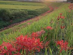 2023年　秋散歩　中山道