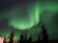 オーロラ・リベンジ旅 Fairbanks in Alaska! 中編 オーロラ見れたぞ！リベンジ成功♪ついでにチェナ温泉で露天風呂♪