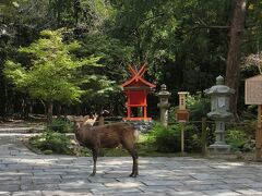 初めての奈良　二泊三日の一人旅