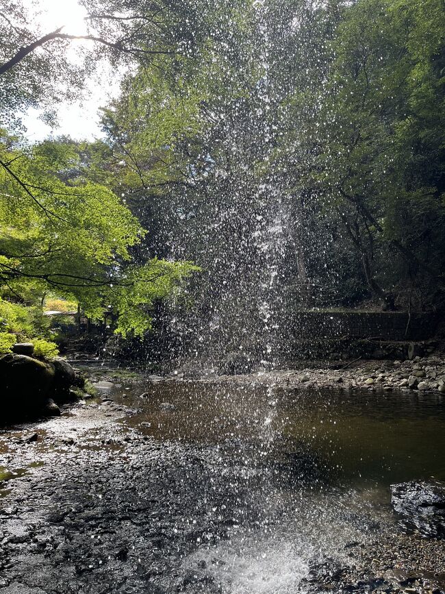 大子で林檎の季節が始まったかなと思い、日帰り温泉とマイナスイオンを浴びに月待の滝に行って来ました。朝もゆっくり出てプチトリップです。<br />道の駅常陸大宮でお野菜とだいごによって林檎とアップルパイを買ってどれも新鮮で美味しかったです。<br />