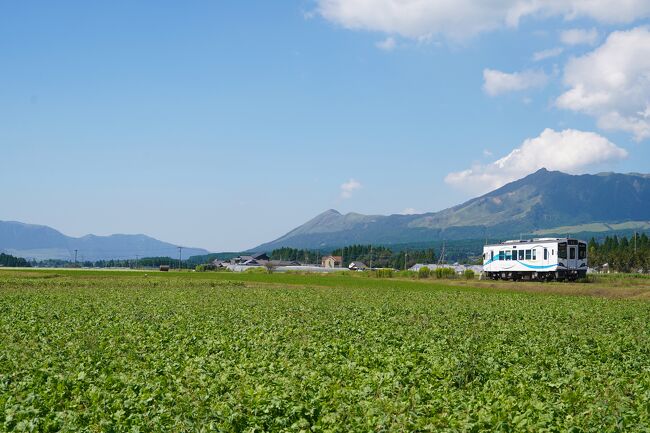 夏休み、どこへ行こう？<br />ちょうどマイルの期限も迫ってきていたので、飛行機に乗ってどこかへ行きたい…！<br />悩みに悩んで、まだ行ったことのない県へ行こう！ということで、今回は初めての宮崎と熊本へ2泊3日で行ってきました( ´∀｀ )♪<br /><br />出発の1週間前に、ランニング中に転んでしまい、、膝に結構な怪我をした関係で、歩くことなどいろいろ不安もありましたが、一緒に行ってくれた友人のおかげで無事に楽しめ、帰ってくることができました！<br /><br />こちらは3日目の旅行記です。<br /><br />▼1日目<br />青い空と青い海、青島へ！【宮崎・熊本ドライブ旅：1日目】<br />https://4travel.jp/travelogue/11856518<br /><br />▼2日目<br />ずっと行きたかった高千穂峡へ！【宮崎・熊本ドライブ旅：2日目】<br />https://4travel.jp/travelogue/11856531