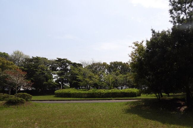 神栖市の若松緑地でバードウォッチングを楽しみました。<br /><br />表紙写真は、若松緑地の風景です。<br />
