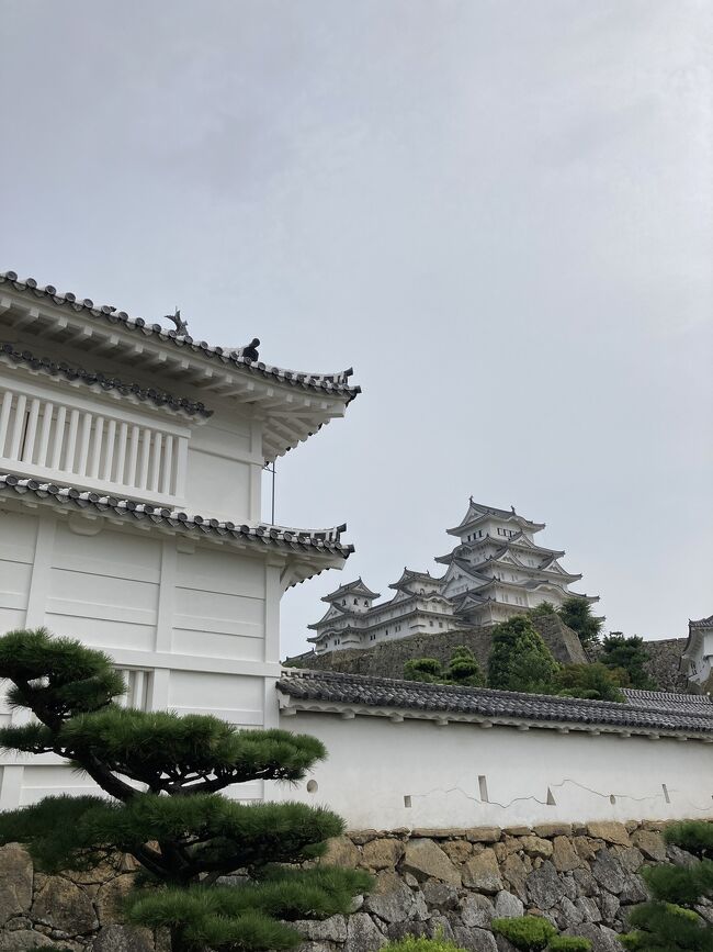 初秋の播磨となぜか岡山(その1・姫路城夏の特別公開/大天守)