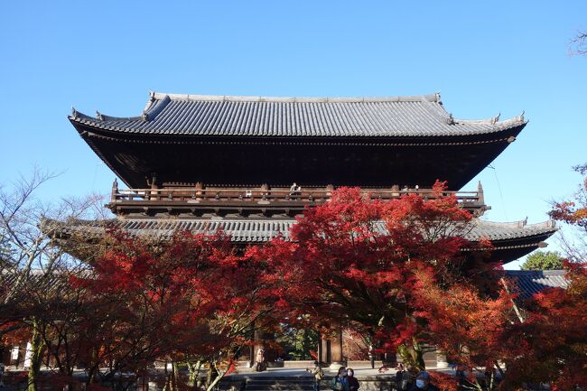 紅葉や桜の季節は綺麗なんだろうなと思いながら、<br />観光客だらけでどこに行っても混んでいるんだろうと<br />長年人気の季節を避け続けてきました。<br /><br />いつか行ってみたいと思い続けていましたが、<br />外国人観光客が戻って来る前に行っておこうと思い立ち、<br />紅葉の季節に京都に出かけました。<br />京都に到着後、まずは早朝から拝観可能な南禅寺に向かいます。