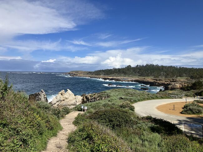 2023 GW カリフォルニアの旅3 (Point Lobos State Natural Reserve, Cannery Row)