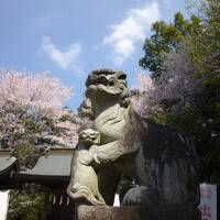 母の郷里へ　２　白鷺神社と花之江の郷