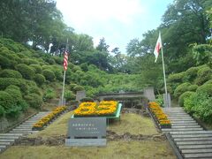 5月の下田公園を50分散策。アジサイは咲き始めでした。