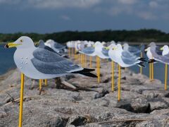 佐久島（さくしま）の「カモメの駐車場」が見たくて♪　ついでに渥美半島散策。