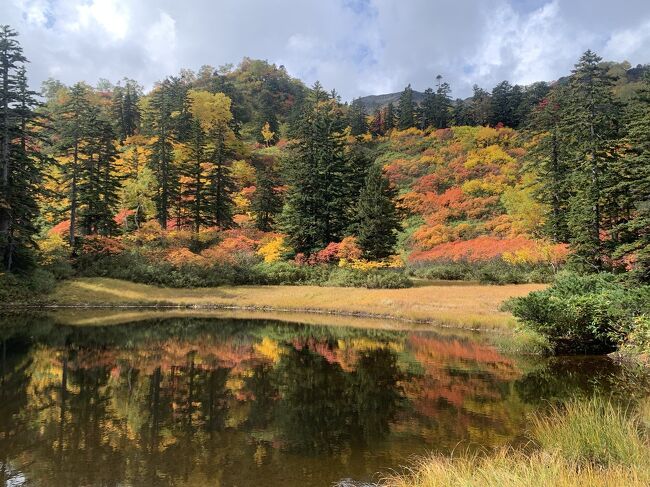 紅葉を見に会社の人４人で大雪高原温泉の沼めぐりに行って来ました。午後からは雨予報で天気を心配しましたが、午前中はとてもいい行楽日和でした。帰りの途中で雨に降られましたが、とても美しい紅葉を楽しむことができました。帰りには大雪高原温泉で汗を流して、上士幌町のドリームドルチェでアイスクリームを食べて来ました。とても有意義な秋の一日でした。