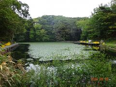 函館から大沼公園へ。その後函館に戻り五稜郭へ。