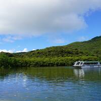 【やえやま離島巡りの旅③】西表島と由布島へ☆マングローブクルーズと水牛車